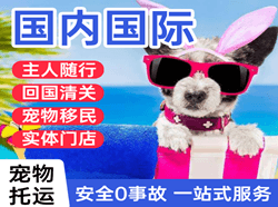 山南隆子机场托运国际宠物托运 【国